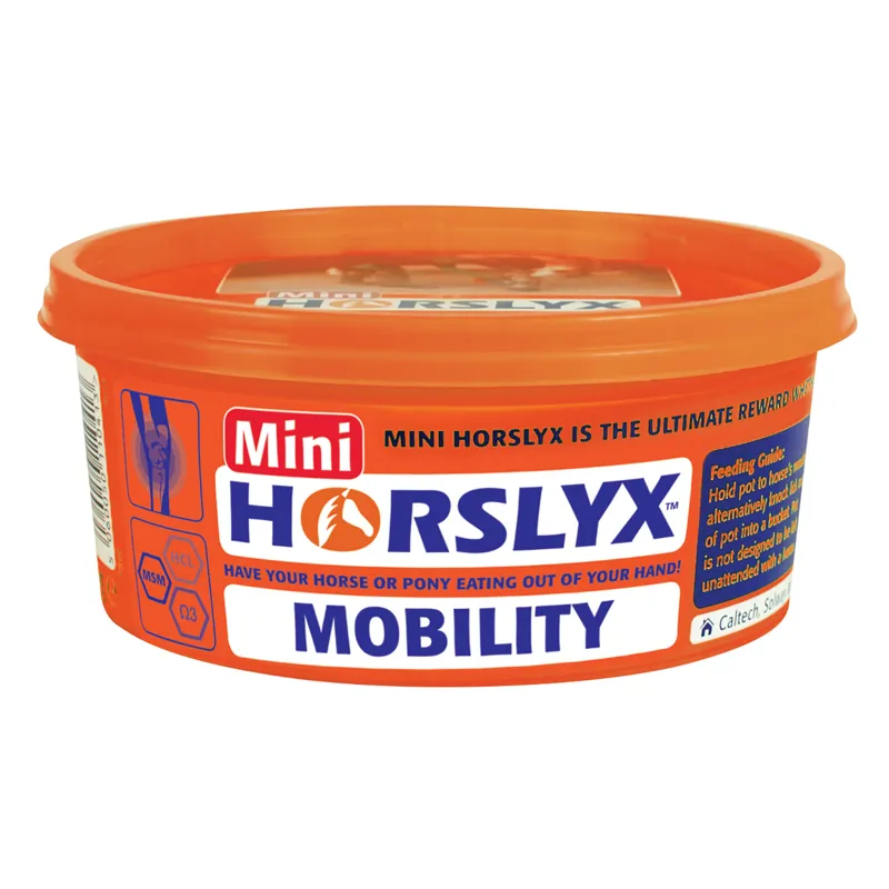 Mini Horslyx 650gm-1