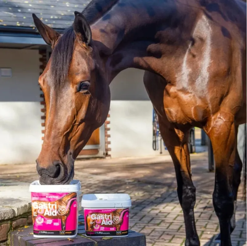 NAF Five Star GastriAid 1.8kg Tub-1