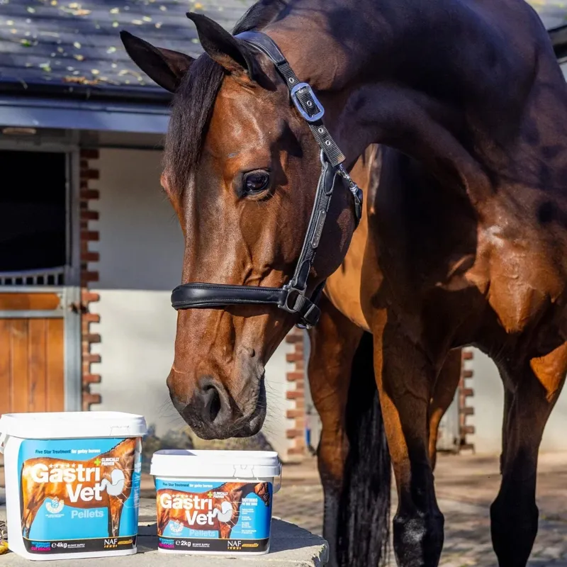 NAF Five Star GastriVet-2