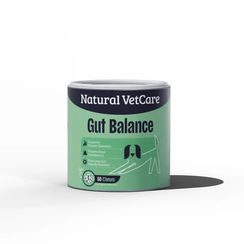 NVC Gut Balance Chews