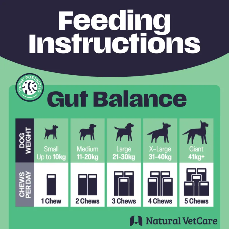 NVC Gut Balance Chews-2