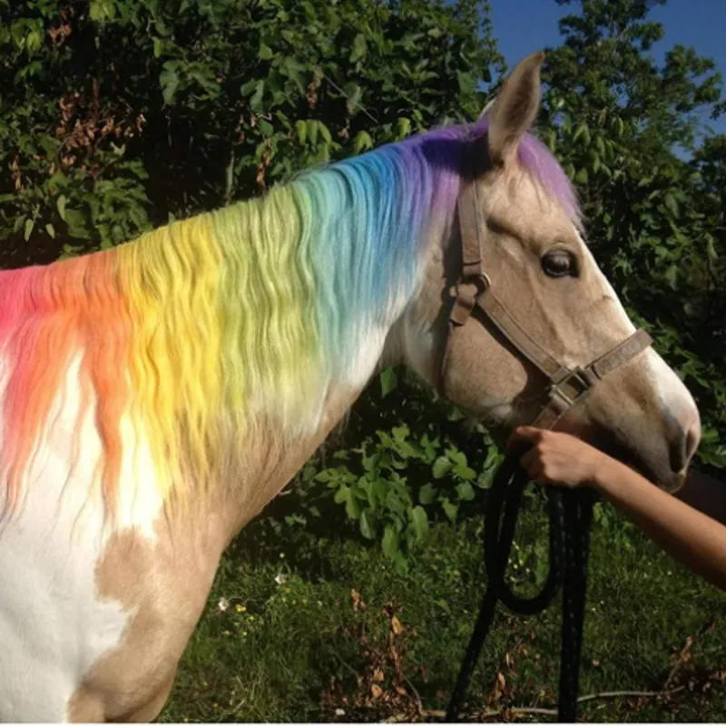 Hucklesby Pony Chalks-2