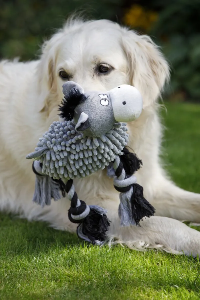 Petface Buddies Noodle Donkey Dog Toy-5
