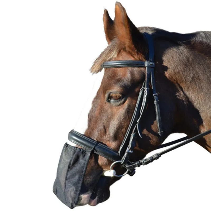 Hy Equestrian Nose Shield in Black