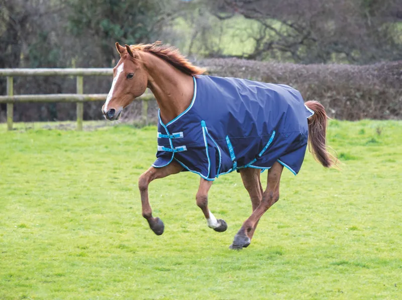 Bridleway Ontario Lightweight 0g Turnout Rug in Navy