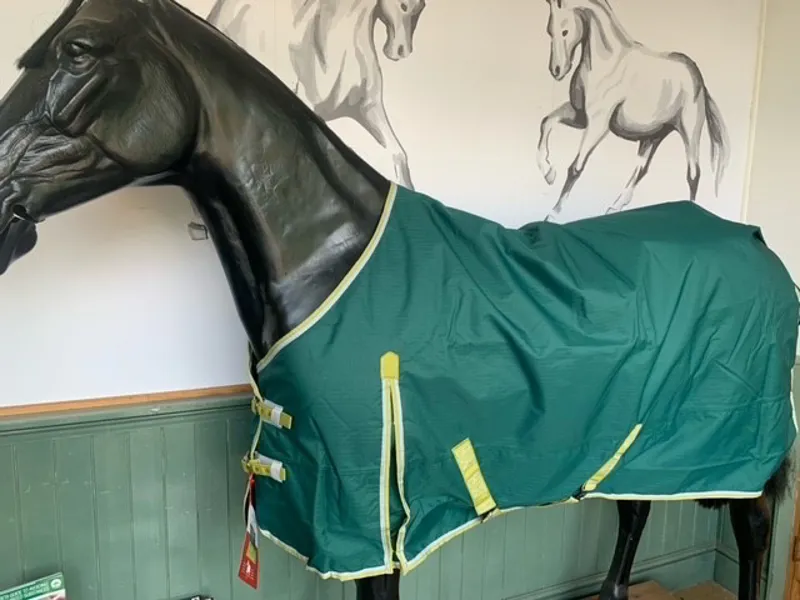 Bridleway Ontario 100g Turnout Rug in Green -2