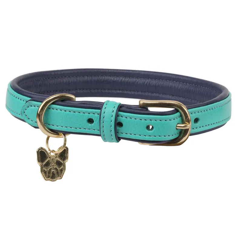 Digby and Fox Padded Leather Dog Collar in Aqua - WEB EXCLUSIVE