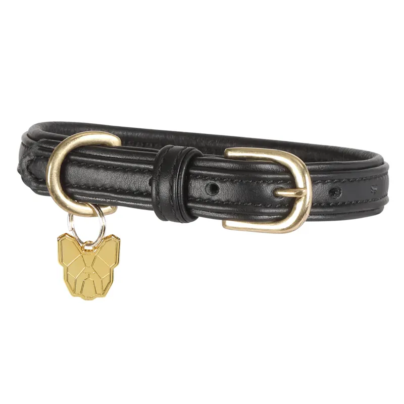 Digby and Fox Padded Leather Dog Collar in Black - WEB EXCLUSIVE