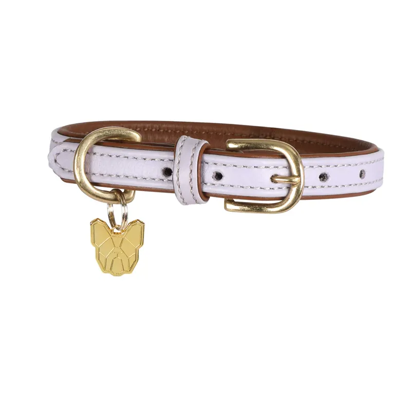 Digby and Fox Padded Leather Dog Collar in Lilac - WEB EXCLUSIVE