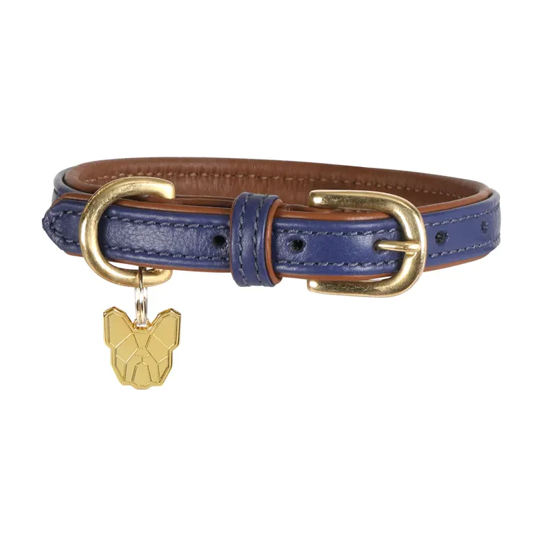 Digby and Fox Padded Leather Dog Collar in Navy - WEB EXCLUSIVE