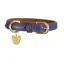 Digby and Fox Padded Leather Dog Collar in Navy - WEB EXCLUSIVE