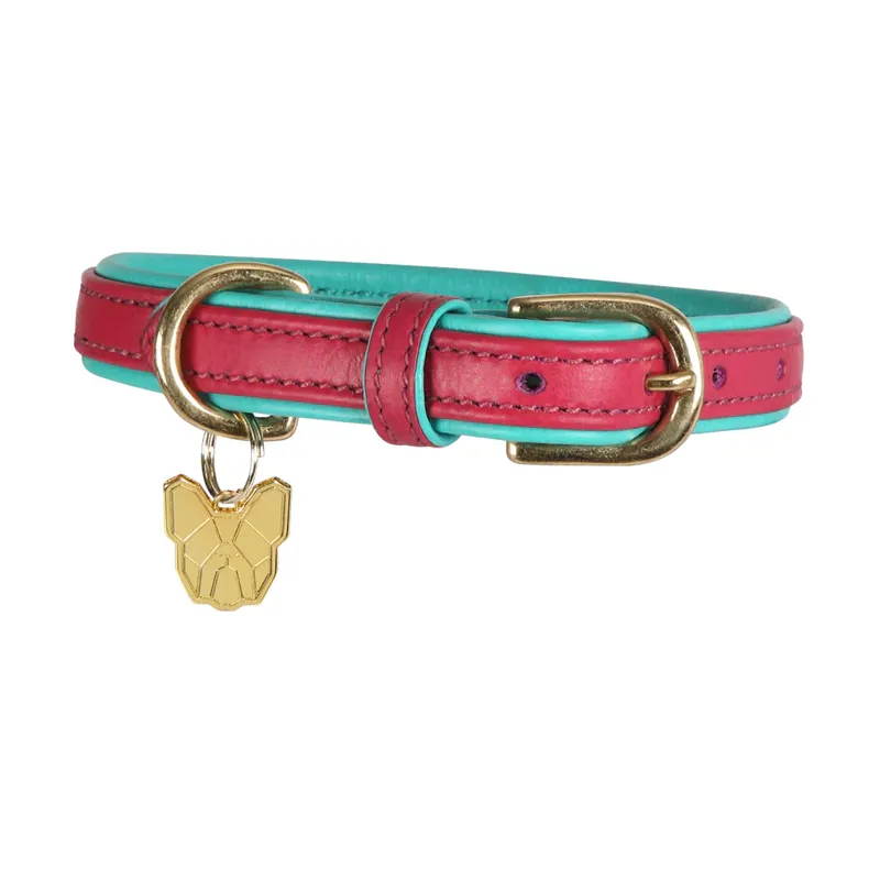 Digby and Fox Padded Leather Dog Collar in Pink - WEB EXCLUSIVE