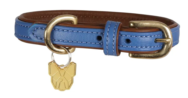 Digby and Fox Padded Leather Dog Collar in Blue - WEB EXCLUSIVE