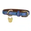 Digby and Fox Padded Leather Dog Collar in Blue - WEB EXCLUSIVE