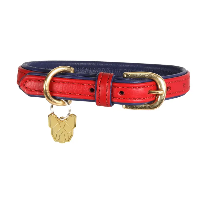 Digby and Fox Padded Leather Dog Collar in Red - WEB EXCLUSIVE