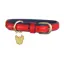 Digby and Fox Padded Leather Dog Collar in Red - WEB EXCLUSIVE