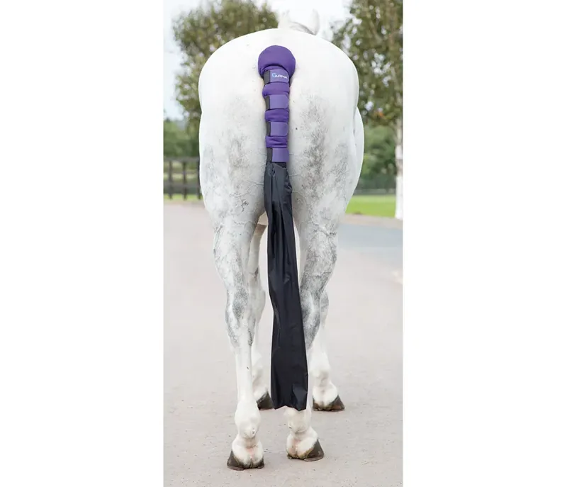 ARMA Padded Tail Guard with Bag in Purple - WEB EXCLUSIVE