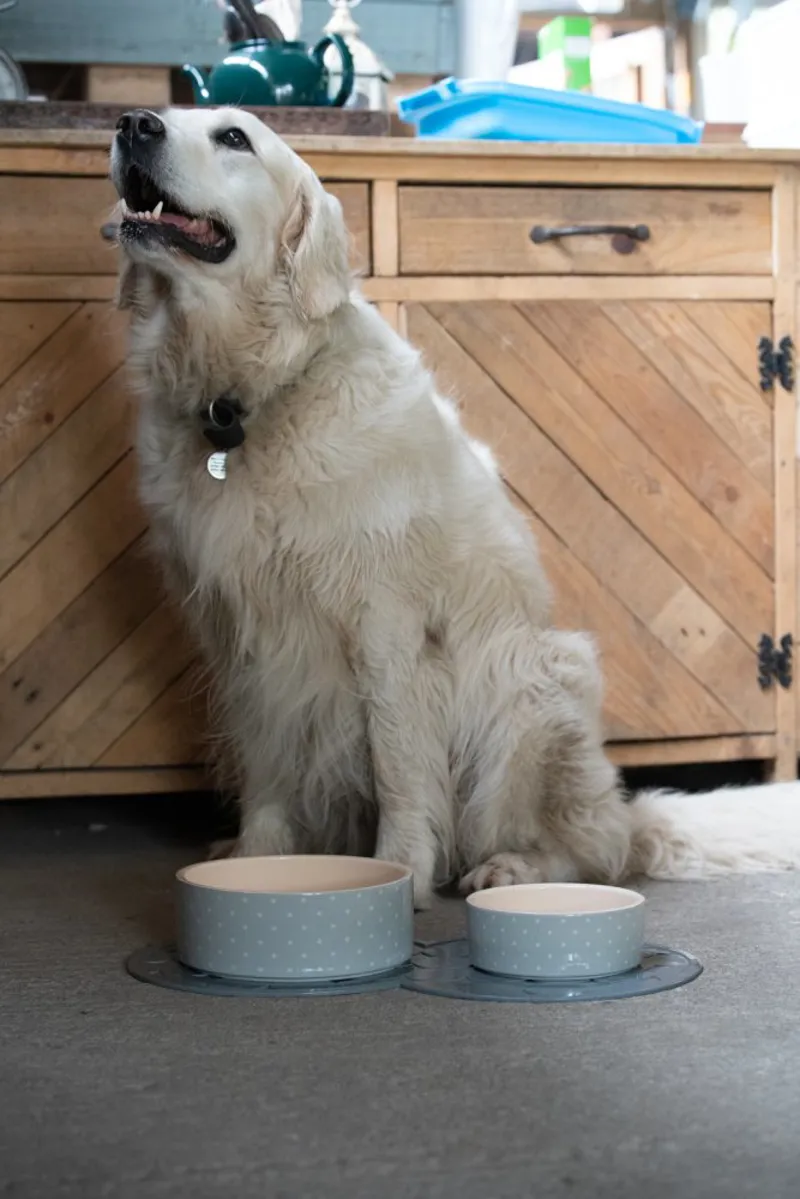 Petface Grey Dots Ceramic Bowl-2