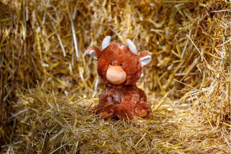 Petface Buddies Hetty Highland Cow Dog Toy-4