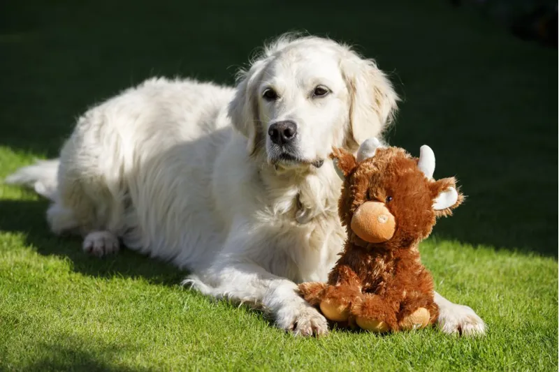 Petface Buddies Hetty Highland Cow Dog Toy-5