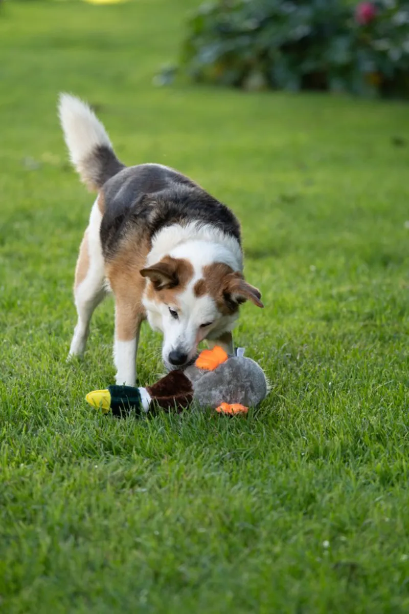 Petface Honking Duck Dog Toy-3