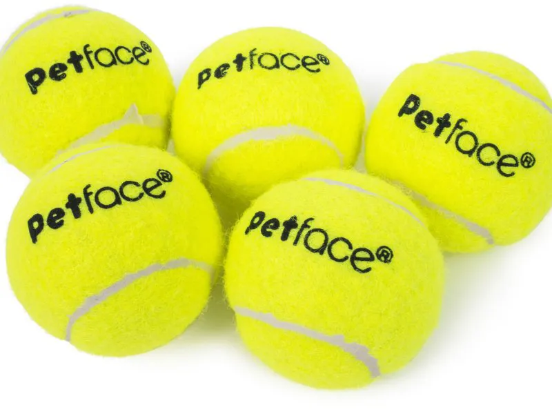 Petface Mini Super Tennis Balls Dog Toys Pack of 5