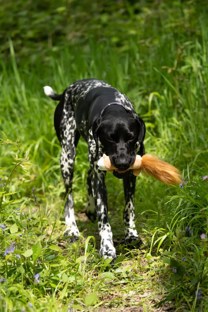 Petface Animal Furry Sticks Plush Dog Toy-7