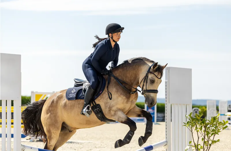 Charles Owen Phoenix Jockey Skull with MIPS in Black with Silver-8