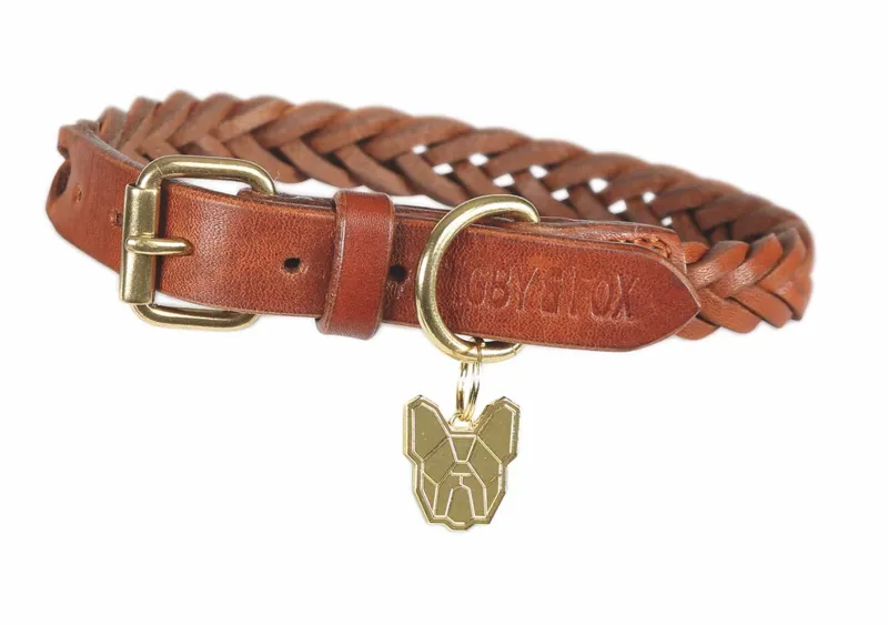 Digby and Fox Plaited Dog Collar in Tan - WEB EXCLUSIVE