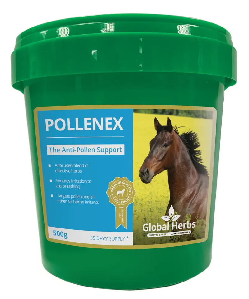 Global Herbs PolleneX 500g