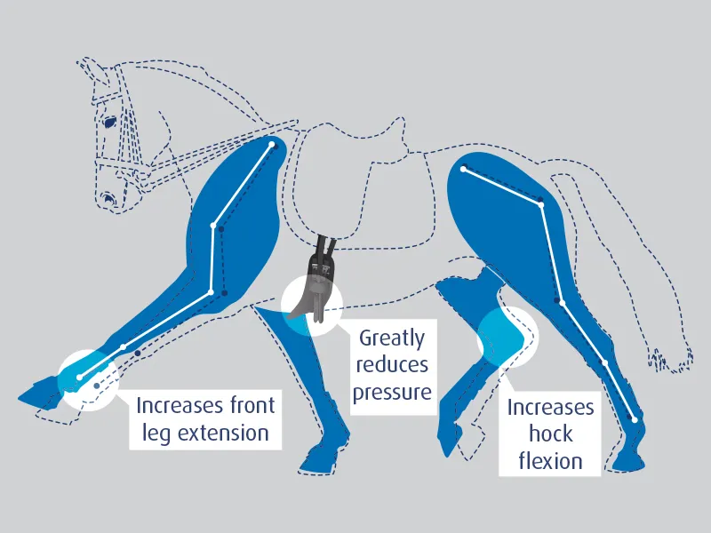 Prolite Performance Short Dressage Girth Narrow Gauge in Black-3