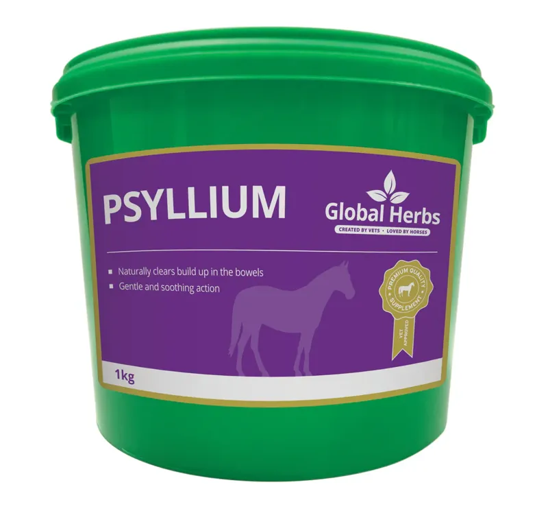 Global Herbs Psyllium 1kg