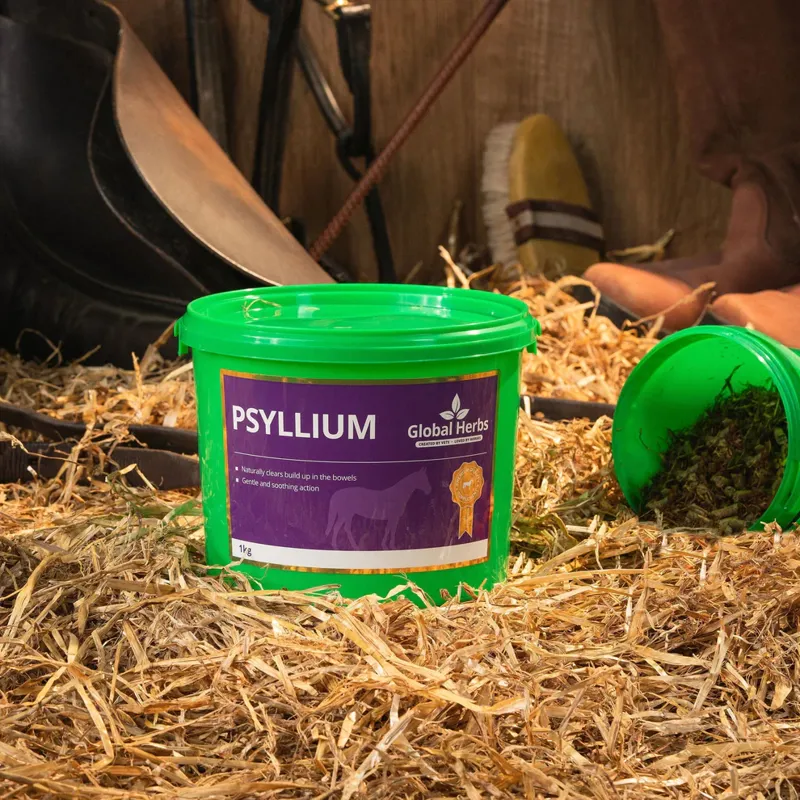 Global Herbs Psyllium 1kg-1
