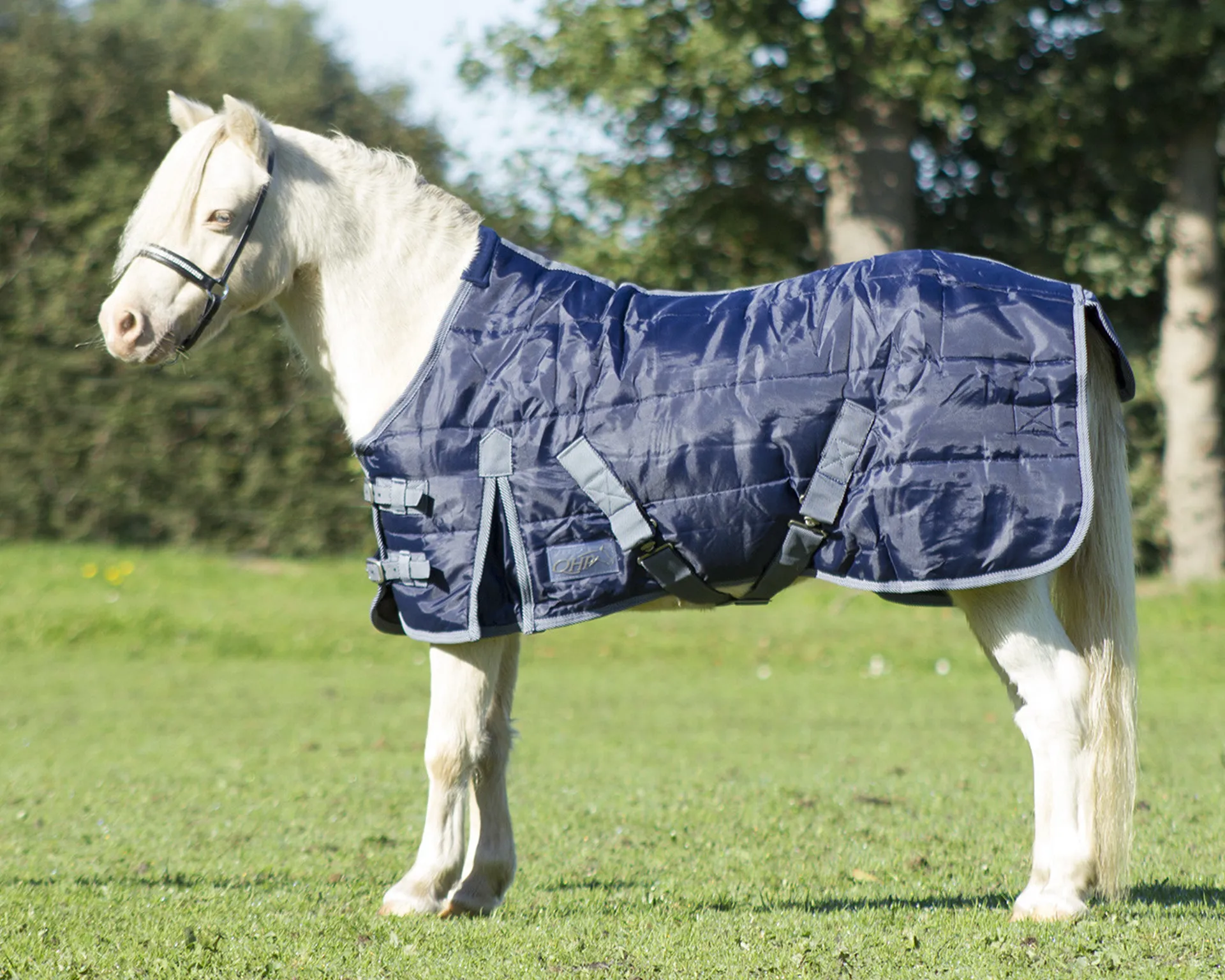 QHP Falabella Stable Rug 200g in Navy