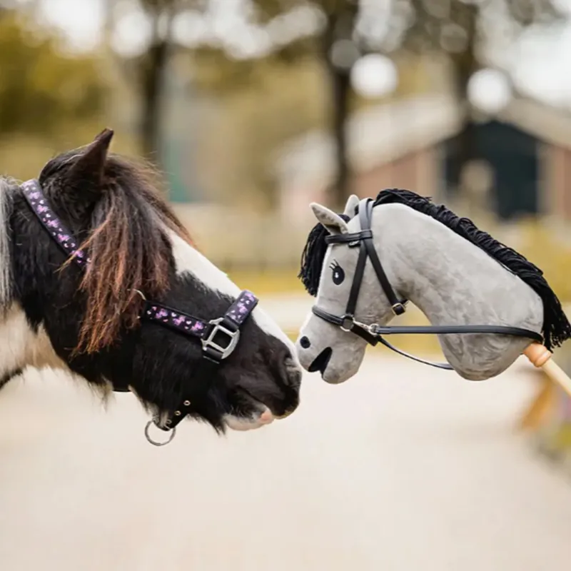 QHP Lize Headcollar in Black and Violet-2