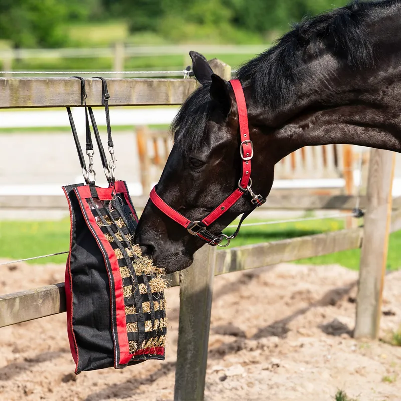 QHP Slowfeeder Hay Bag in Sunset Red-1