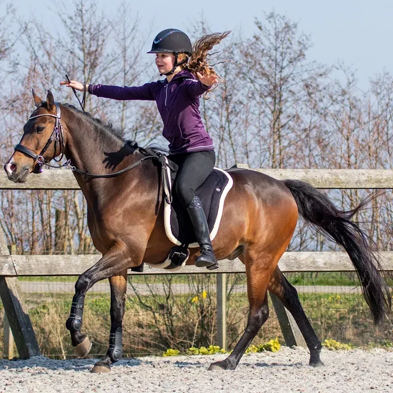 QHP Bareback Pad Pony -in Black-5