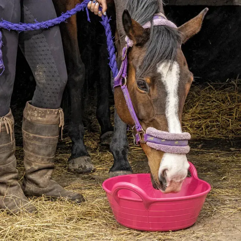 Red Gorilla Plas Small Feed Skip in Pink-1