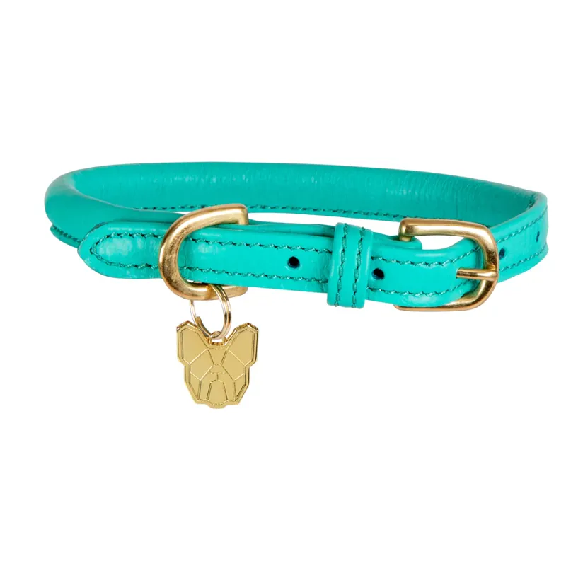 Digby and Fox Rolled Leather Dog Collar in Teal - WEB EXCLUSIVE