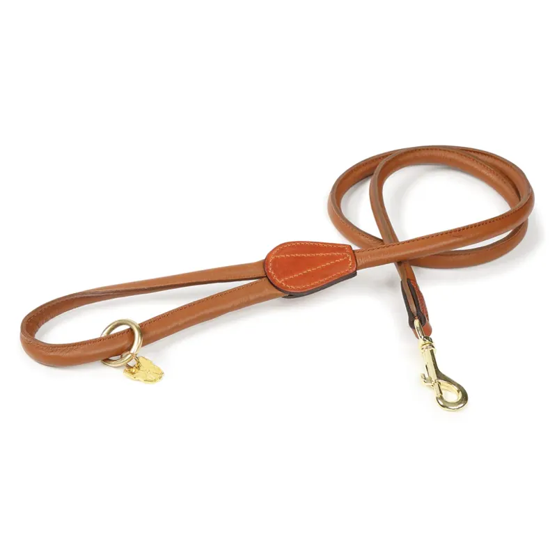 Digby and Fox Rolled Leather Dog Lead in Tan