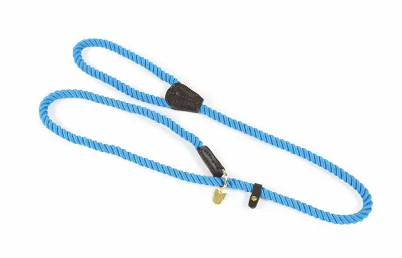 Digby and Fox Rope Slip Dog Lead in Blue - WEB EXCLUSIVE