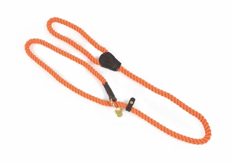 Digby and Fox Rope Slip Dog Lead in Orange - WEB EXCLUSIVE