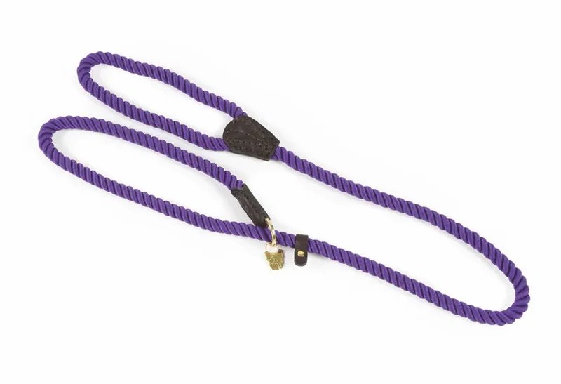 Digby and Fox Rope Slip Dog Lead in Purple - WEB EXCLUSIVE