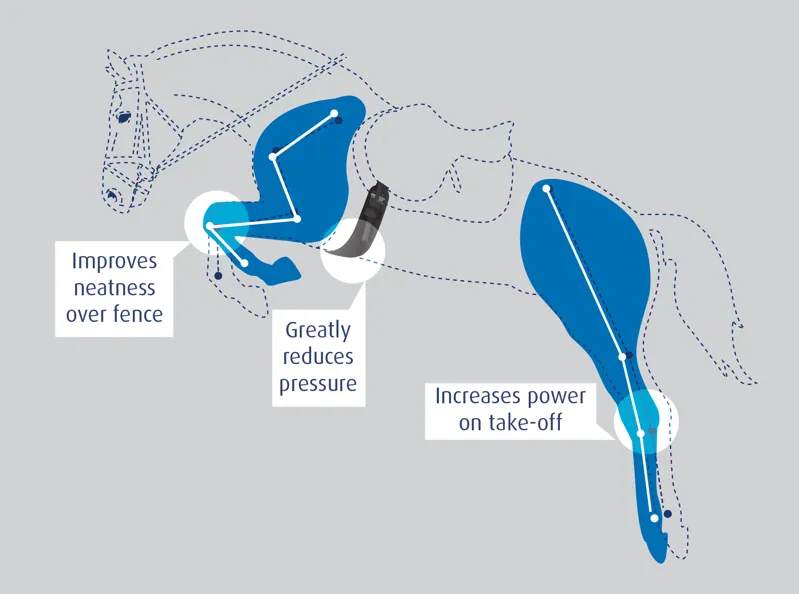 Prolite Performance Long Girth Narrow Gauge in Brown-4