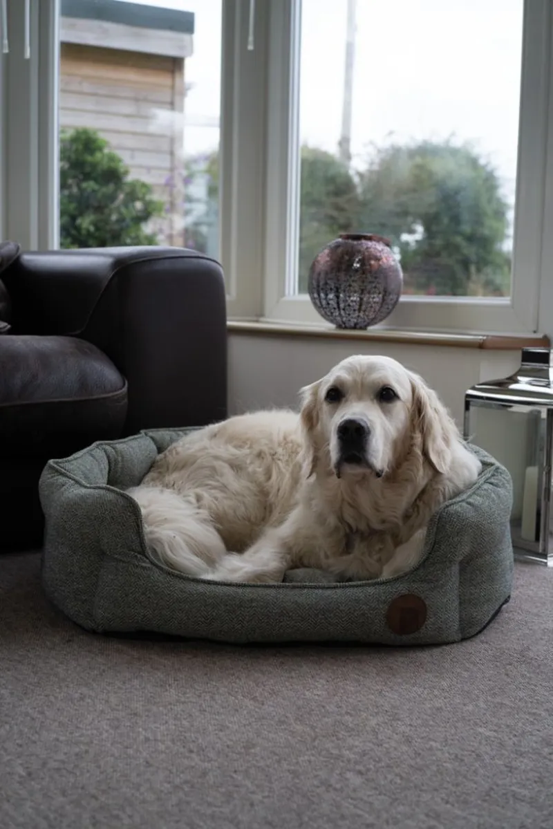 Petface Sage Herringbone Low Oval Bed-6