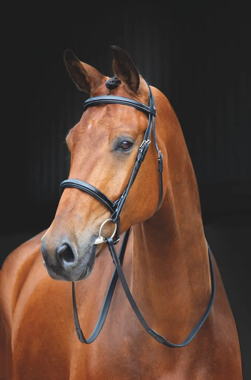 Salisbury Fairford Bridle in Black