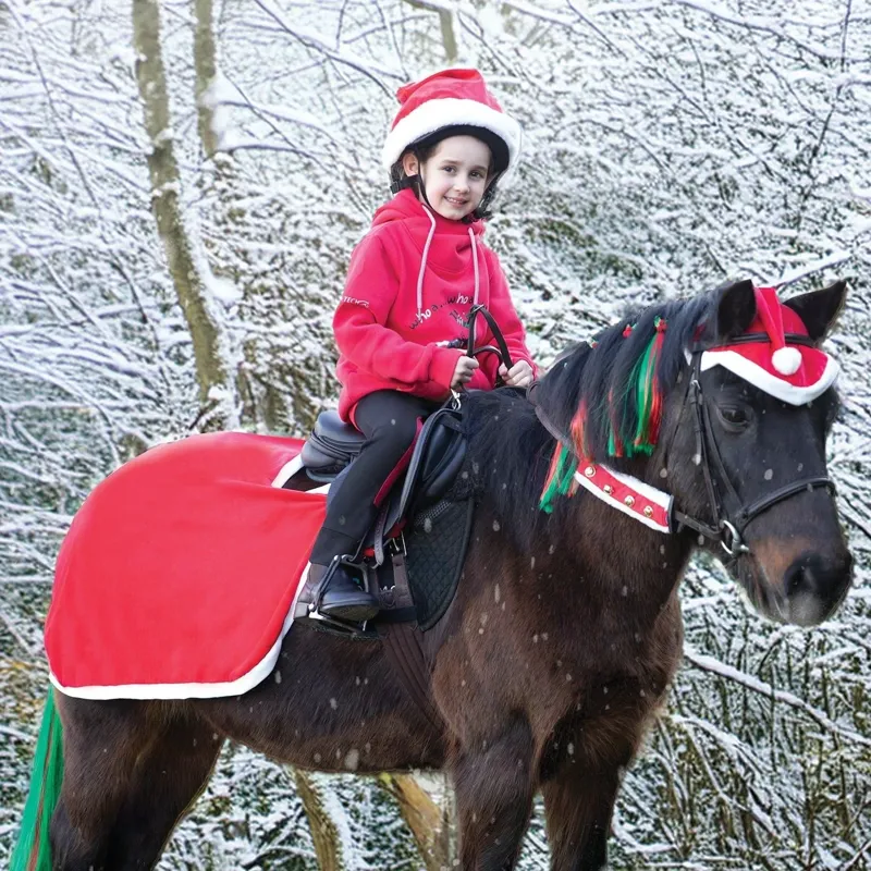 Equetech Santa Festive Horse Quarter Sheet-1