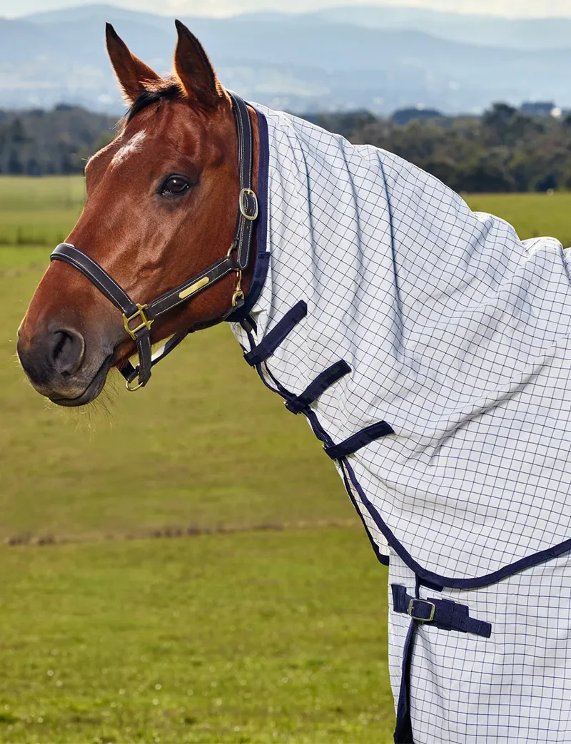 Saxon Kool Coat Classic Combo Horse Rug in White-2