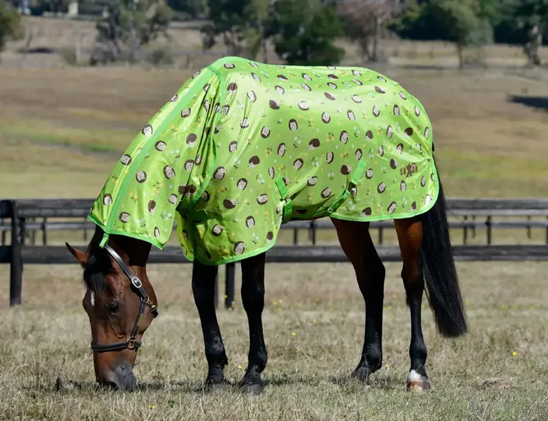 Saxon Mesh Fly Combo Rug in Hedgehogs and Flowers Print-1