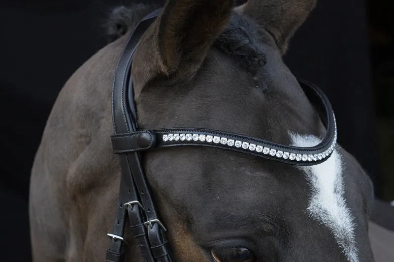 Schockemohle Charlston Flash Bridle in Black-3